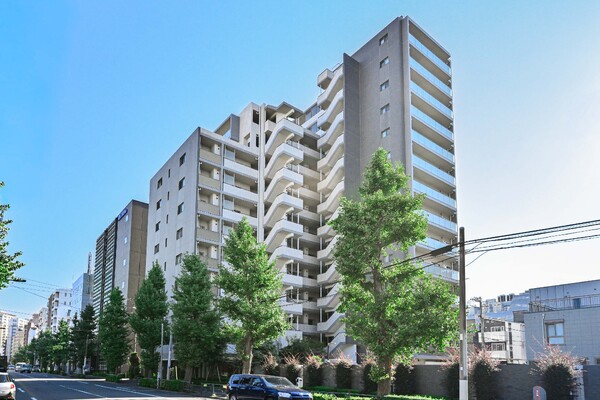 小石川アインス