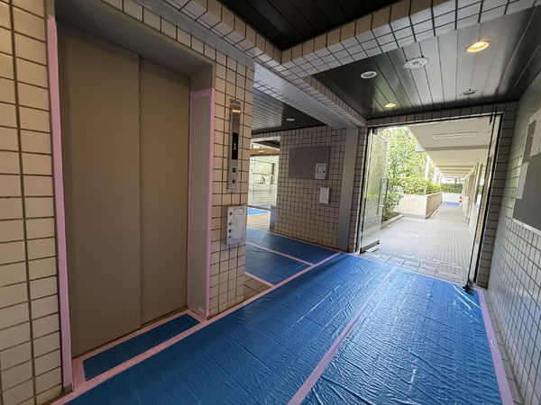 031