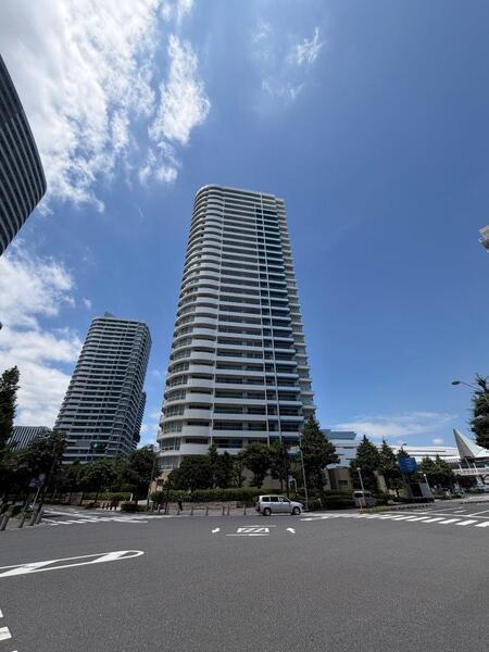 M.M.TOWERS　the　South