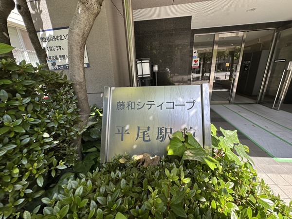 031