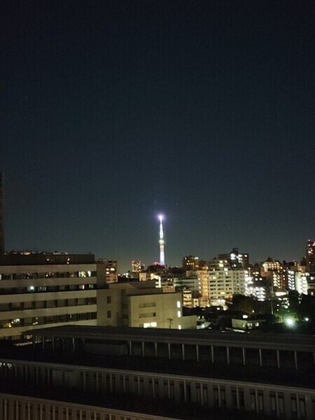 081