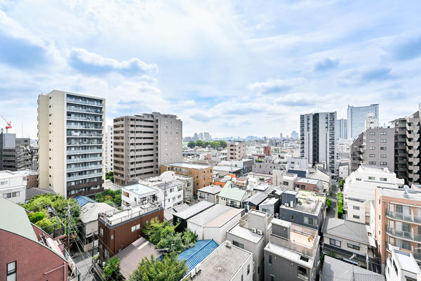 081
