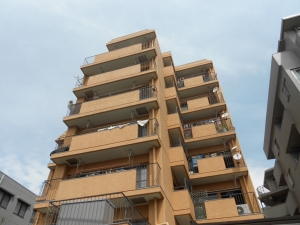 ライオンズマンション東白壁