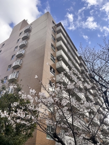 フジイチパークタワーズ