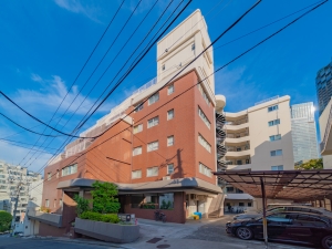 シャトー赤坂台
