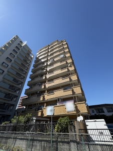 レインボー徳川