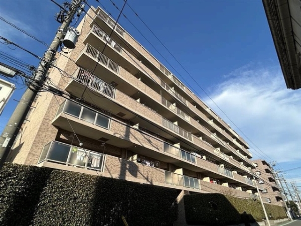 ネオスメイツ港北