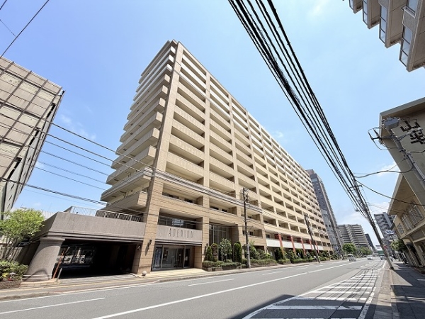 アデニウム千葉みなと