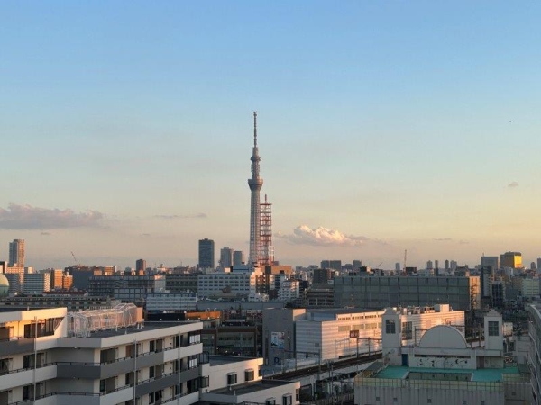 ダイナシティ東京リバーゲートセレッソタワー