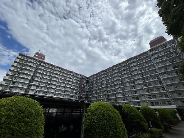 南篠崎スカイハイツAの外観