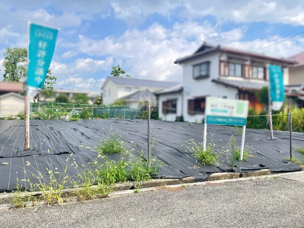 2号地