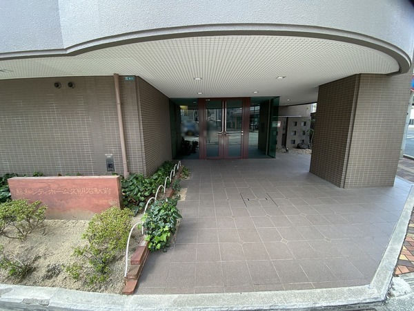 031