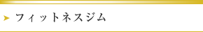 フィットネスジム