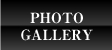 PHOTO GALLERY - フォトギャラリー