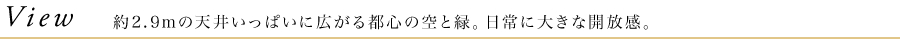 View　約2.9mの天井いっぱいに広がる都心の空と緑。日常に大きな開放感。