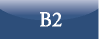 Type B2