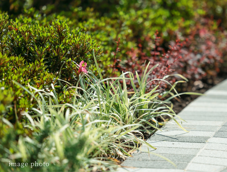 緑豊かな環境イメージ図