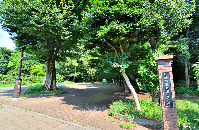 林試の森公園 つくし門