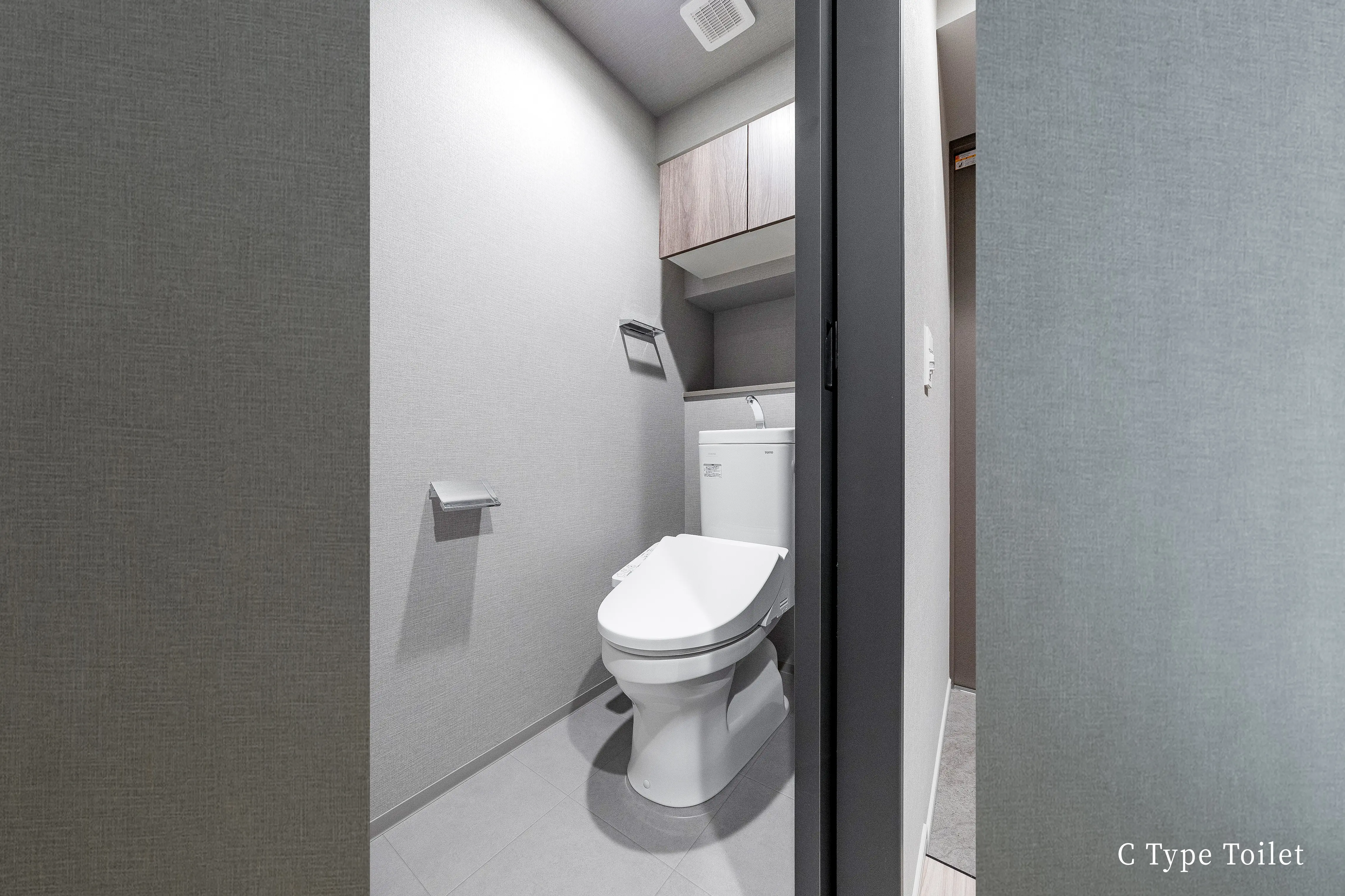C Type Toilet