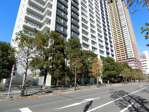 エアライズタワー-h