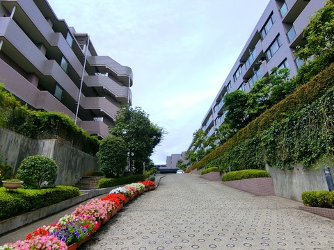 ファミール戸塚ブランニュー２５０-h