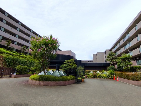 ファミール戸塚ブランニュー２５０-h