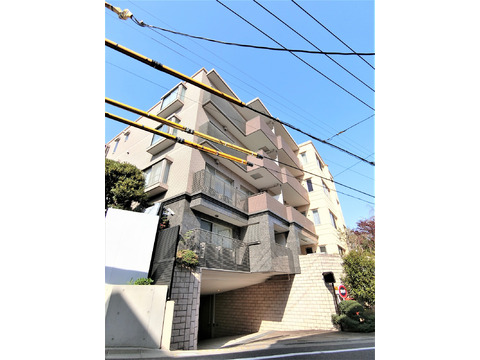 東急ドエル プレステージ池田山クレアモント-h