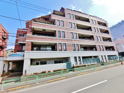 マイネシュロッス中野コリドー-h