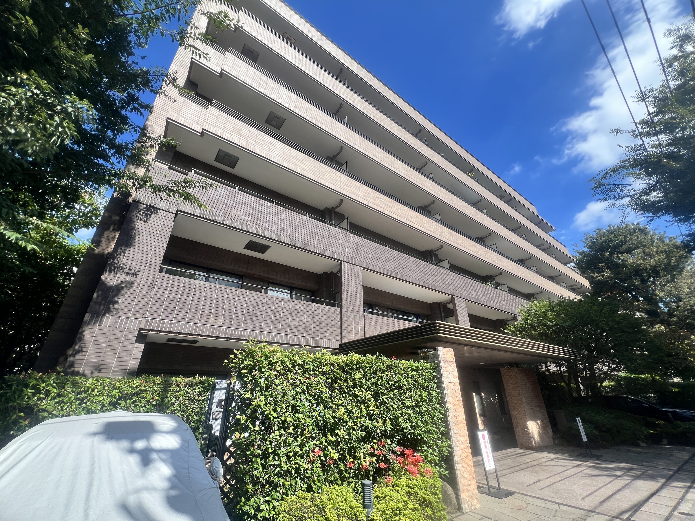 コスモ阿佐ヶ谷ロイヤルフォルム-0-0