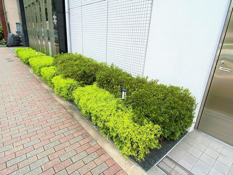 シティハウス月島ステーションコート-h