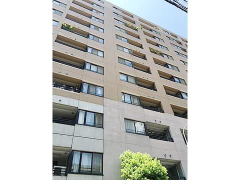 サンクタス築地-h