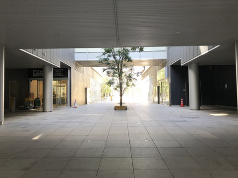 Brillia Grandeみなとみらい OCEAN＆PARK-h