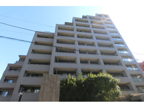 パークコート本郷真砂-0-0