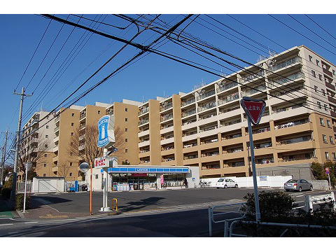 アデニウム吉祥寺-h