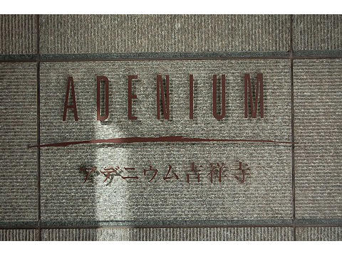 アデニウム吉祥寺-h