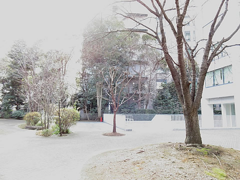 虎ノ門タワーズレジデンス-h