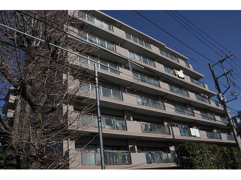 ヒルズ武蔵小杉-h