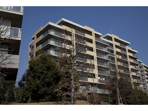 ファインストーリアグロースコート-h