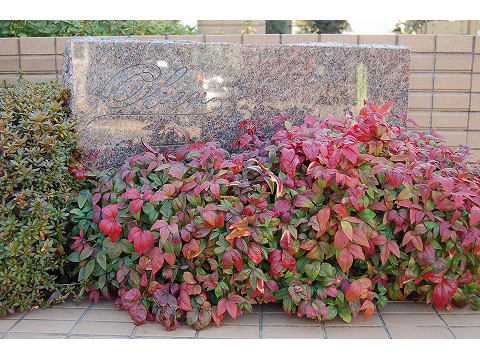 オーベル三鷹台コンフォート-h