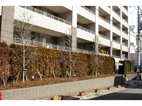 プラウド横濱鶴見-h