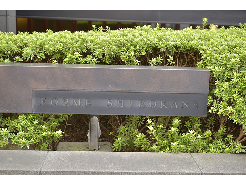 フォルム白金-h