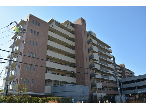 サウスアリーナ鎌倉大船-h