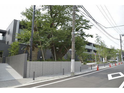 シティテラス下目黒-h