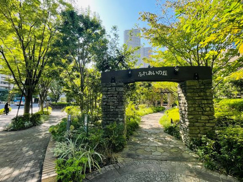 パークシティ武蔵小杉ミッドスカイタワー-h