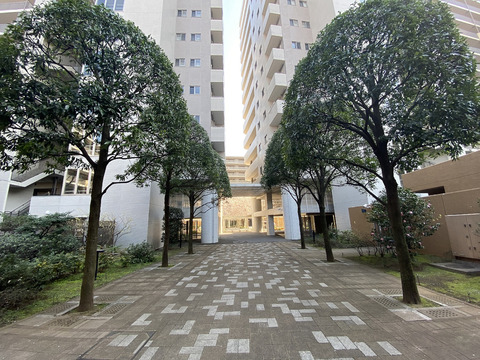 デライトシティ-h