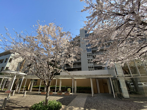 デライトシティ-h