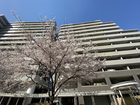 デライトシティアクアコート-h