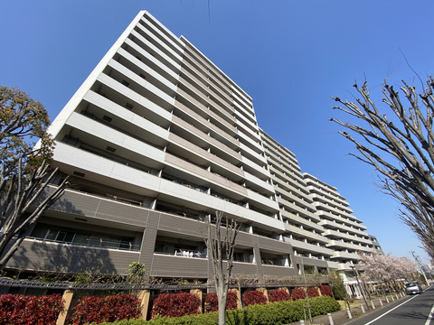 デライトシティブレスコート-h