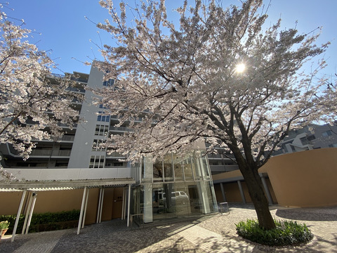 デライトシティサンライトコート-h