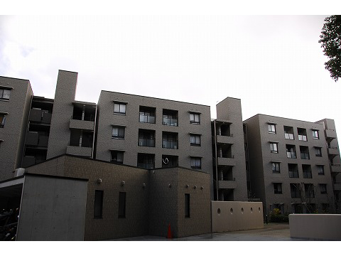 東急ドエルアルス御影・鴨子ヶ原南棟-h